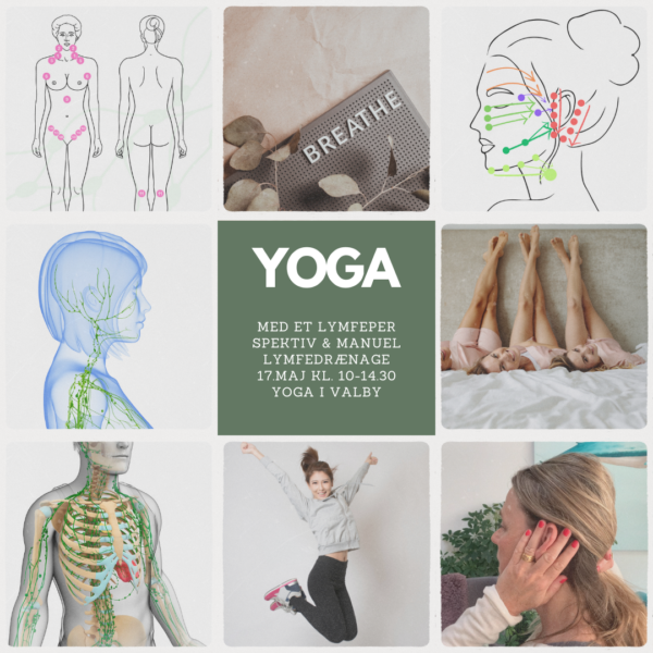 YOGA med et Lymfe perspektiv & manuel lymfedrænage 17.5.2025