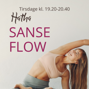 Hatha Sanse Flow Tirsdag aften 19.20-20.40